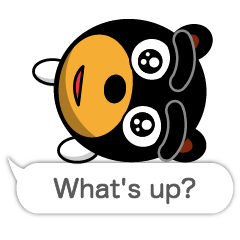 Black Eyebrows Bear 18 ( English )