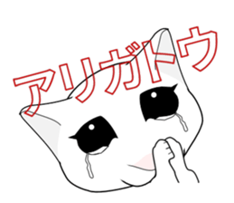 A Kitten 3 sticker #11338207