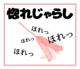 A Kitten 3 sticker #11338208