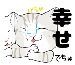 A Kitten 3 sticker #11338211