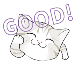 A Kitten 3 sticker #11338212