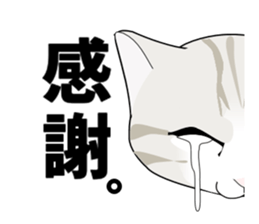 A Kitten 3 sticker #11338219