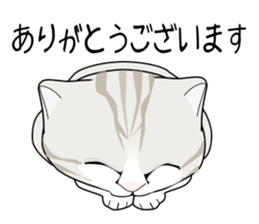 A Kitten 3 sticker #11338220