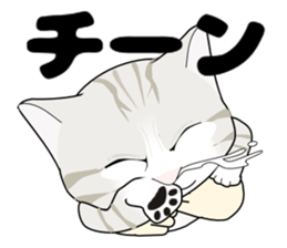 A Kitten 3 sticker #11338224