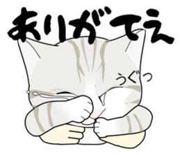 A Kitten 3 sticker #11338227