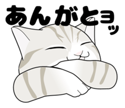 A Kitten 3 sticker #11338235