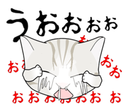 A Kitten 3 sticker #11338237