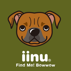 iinu - Staffordshire Bull Terrier