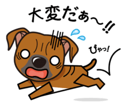 iinu - Staffordshire Bull Terrier sticker #11341253