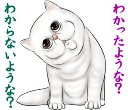 cat(Exotic short hair) Sticker sticker #11342759