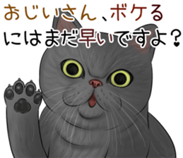 cat(Exotic short hair) Sticker sticker #11342767
