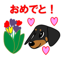 Wonderful Miniature Dachshund, RIKU sticker #11346221