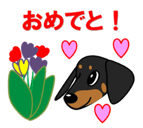 Wonderful Miniature Dachshund, RIKU sticker #11346221