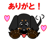 Wonderful Miniature Dachshund, RIKU sticker #11346222