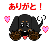 Wonderful Miniature Dachshund, RIKU sticker #11346222