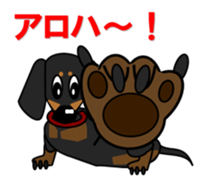 Wonderful Miniature Dachshund, RIKU sticker #11346223