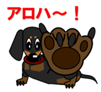 Wonderful Miniature Dachshund, RIKU sticker #11346223