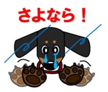 Wonderful Miniature Dachshund, RIKU sticker #11346224