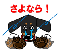 Wonderful Miniature Dachshund, RIKU sticker #11346224