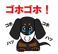 Wonderful Miniature Dachshund, RIKU sticker #11346226