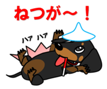 Wonderful Miniature Dachshund, RIKU sticker #11346227