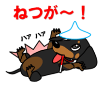 Wonderful Miniature Dachshund, RIKU sticker #11346227