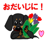 Wonderful Miniature Dachshund, RIKU sticker #11346228