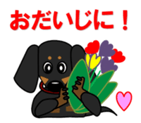 Wonderful Miniature Dachshund, RIKU sticker #11346228