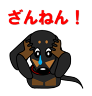 Wonderful Miniature Dachshund, RIKU sticker #11346229