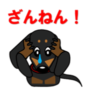 Wonderful Miniature Dachshund, RIKU sticker #11346229