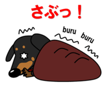 Wonderful Miniature Dachshund, RIKU sticker #11346231