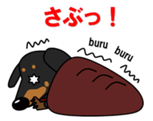 Wonderful Miniature Dachshund, RIKU sticker #11346231