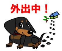 Wonderful Miniature Dachshund, RIKU sticker #11346233
