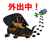 Wonderful Miniature Dachshund, RIKU sticker #11346233