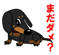 Wonderful Miniature Dachshund, RIKU sticker #11346235