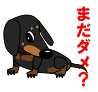 Wonderful Miniature Dachshund, RIKU sticker #11346235