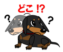 Wonderful Miniature Dachshund, RIKU sticker #11346236
