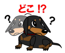 Wonderful Miniature Dachshund, RIKU sticker #11346236