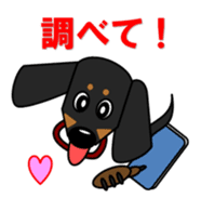Wonderful Miniature Dachshund, RIKU sticker #11346237