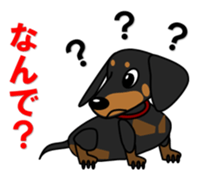 Wonderful Miniature Dachshund, RIKU sticker #11346240