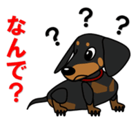 Wonderful Miniature Dachshund, RIKU sticker #11346240