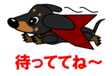 Wonderful Miniature Dachshund, RIKU sticker #11346241