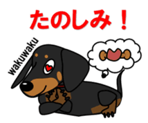 Wonderful Miniature Dachshund, RIKU sticker #11346242