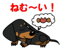 Wonderful Miniature Dachshund, RIKU sticker #11346243