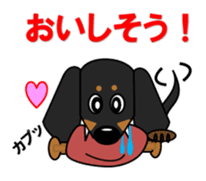 Wonderful Miniature Dachshund, RIKU sticker #11346245