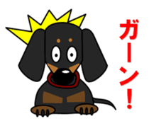 Wonderful Miniature Dachshund, RIKU sticker #11346247