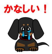 Wonderful Miniature Dachshund, RIKU sticker #11346248