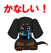 Wonderful Miniature Dachshund, RIKU sticker #11346248
