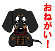 Wonderful Miniature Dachshund, RIKU sticker #11346249