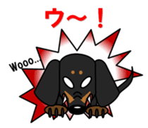 Wonderful Miniature Dachshund, RIKU sticker #11346251